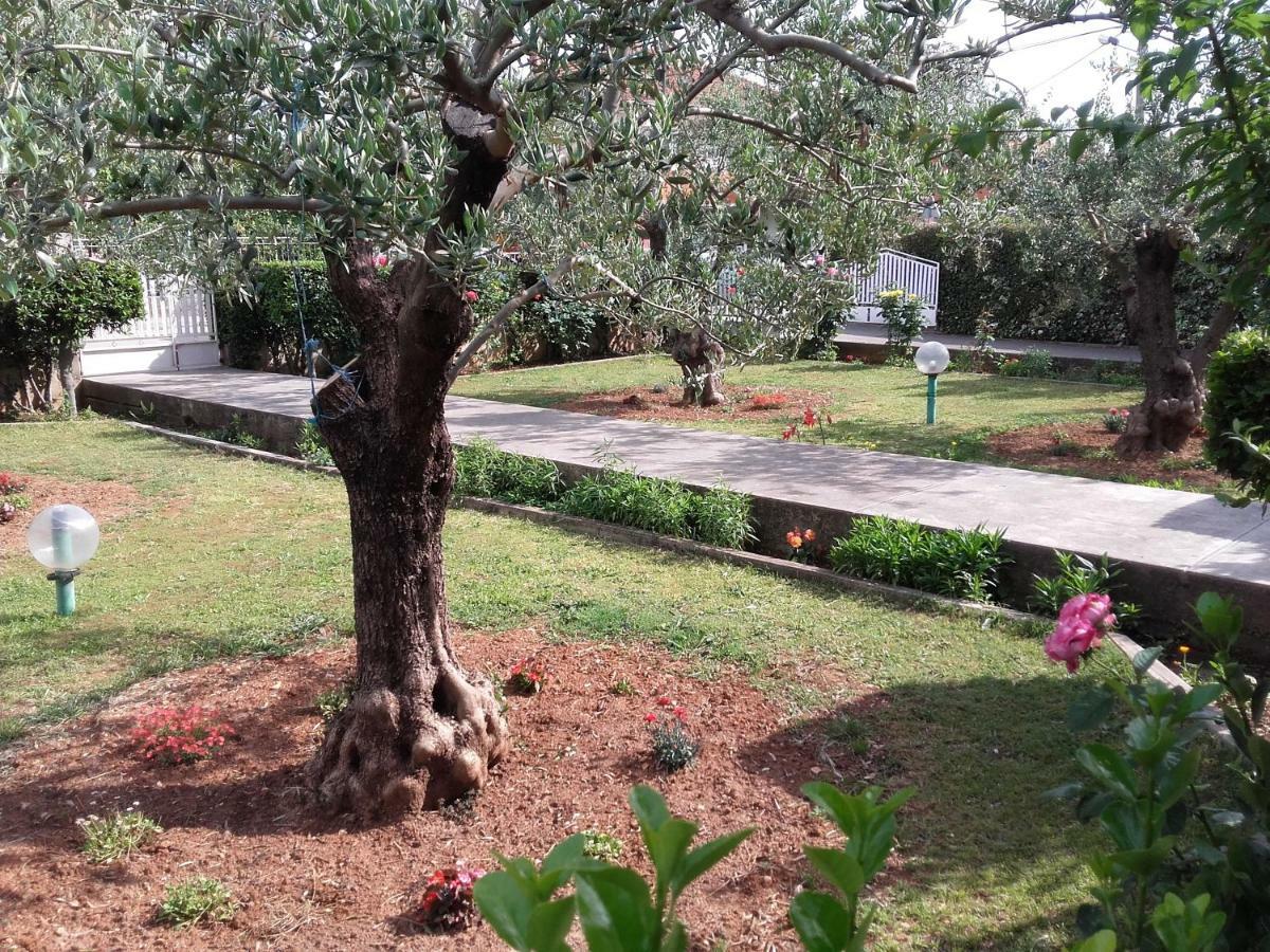 Apartman Vlado Zadar Extérieur photo
